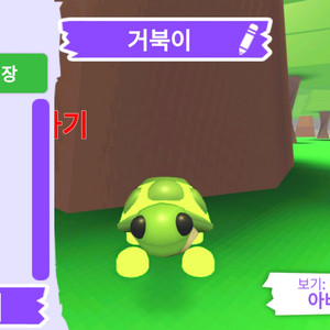 입양하세요 펫 네온 거북이 판매합니다