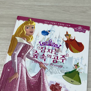 디즈니 잠자는 숲속의 공주 책
