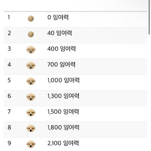 에펨코리아 포인트