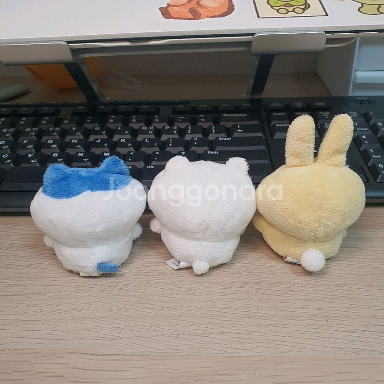 치이카와 앉은 누이 1탄 일괄--1