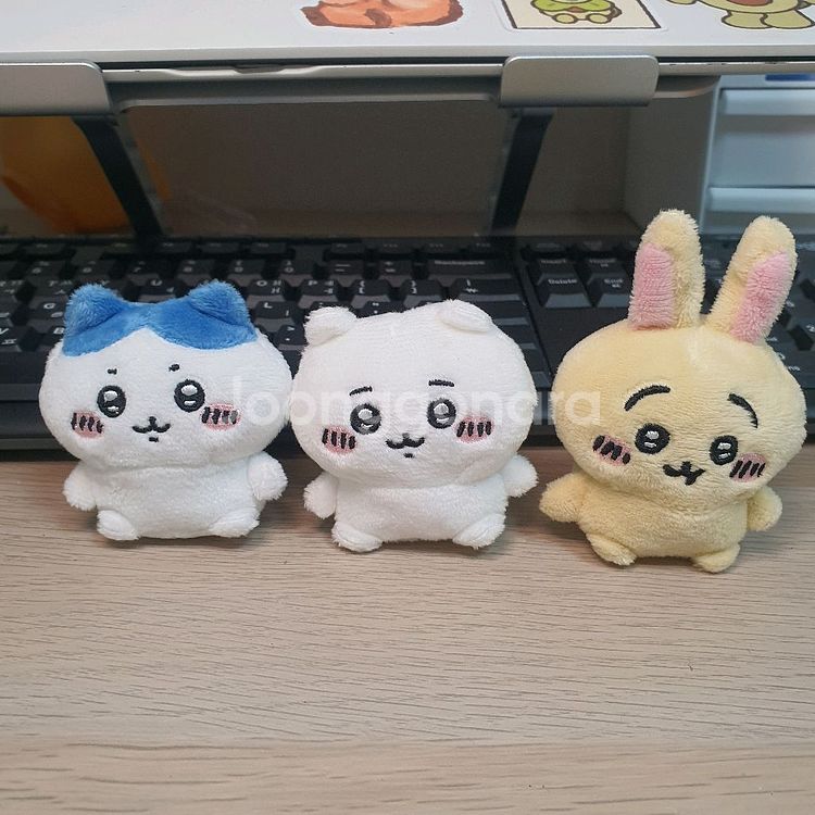 치이카와 앉은 누이 1탄 일괄--0