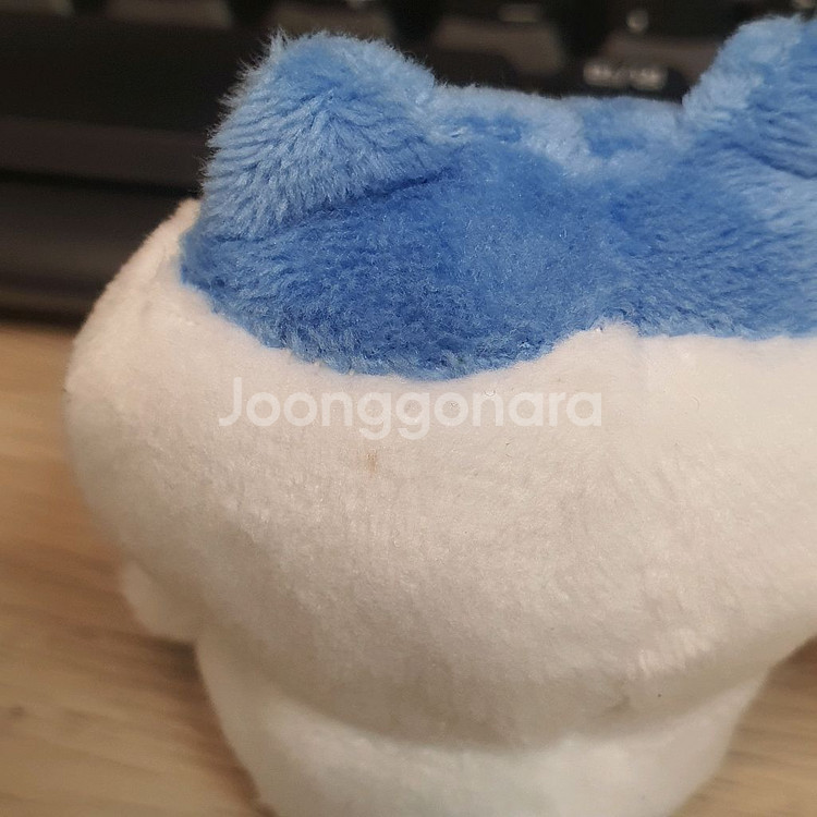 치이카와 앉은 누이 1탄 일괄--2