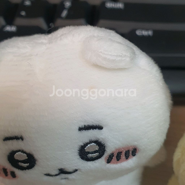 치이카와 앉은 누이 1탄 일괄--3