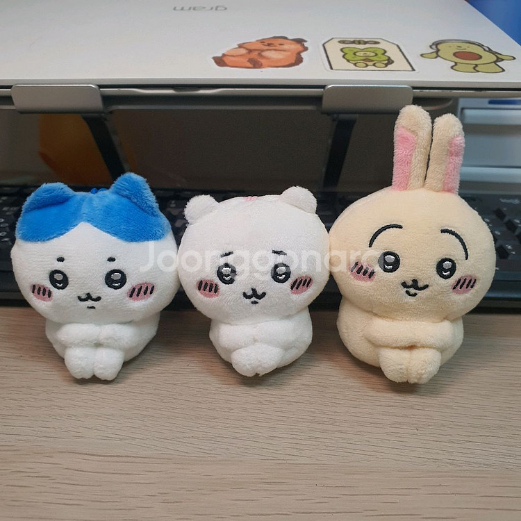 치이카와 빅 4 누이 일괄--0