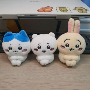 치이카와 빅 4 누이 일괄