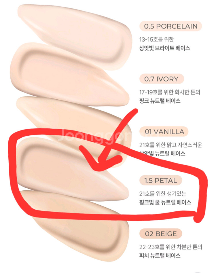 루나 하이퍼 핏 필터 쿠션 21호 쿨톤추천 핑베--3