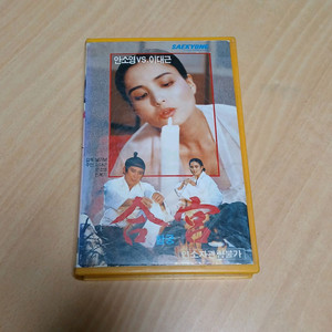토속 에로티시즘 안소영 이대근 궁합 비디오