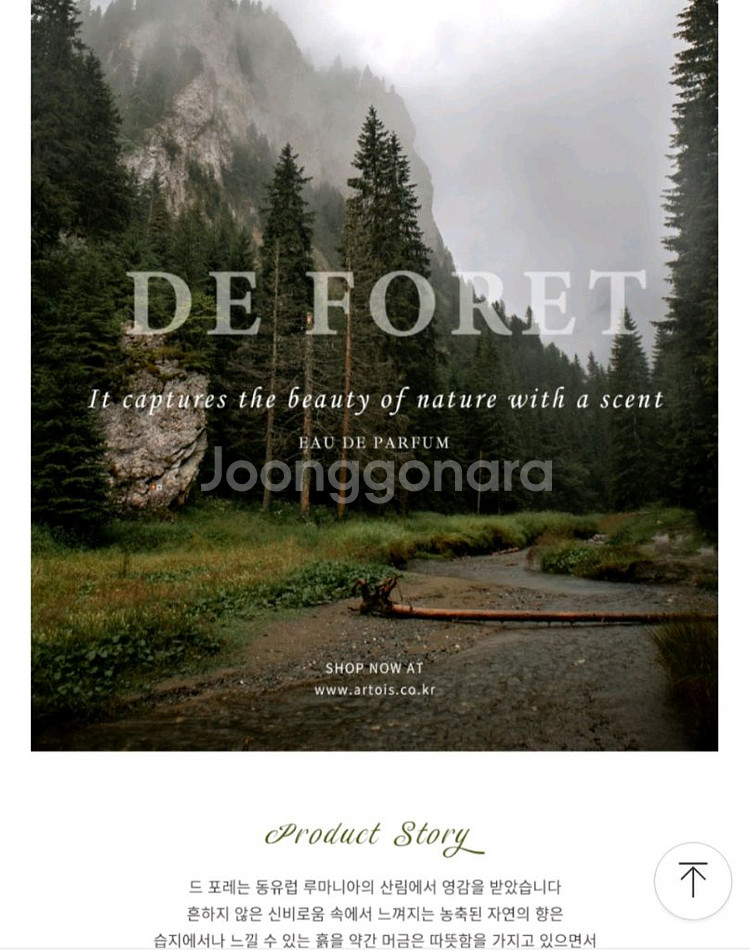 아르투아퍼퓸 드포레(비갠후 숲속풀향)--4