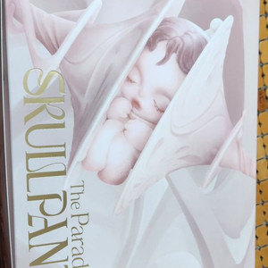(오늘만) 스컬판다 패러독스 풀박