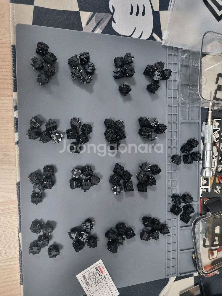 노량진 다신흑 90EA--0