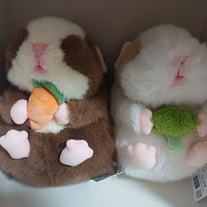 (새상품) 모루못토상 야채식사 봉제 인형 25cm