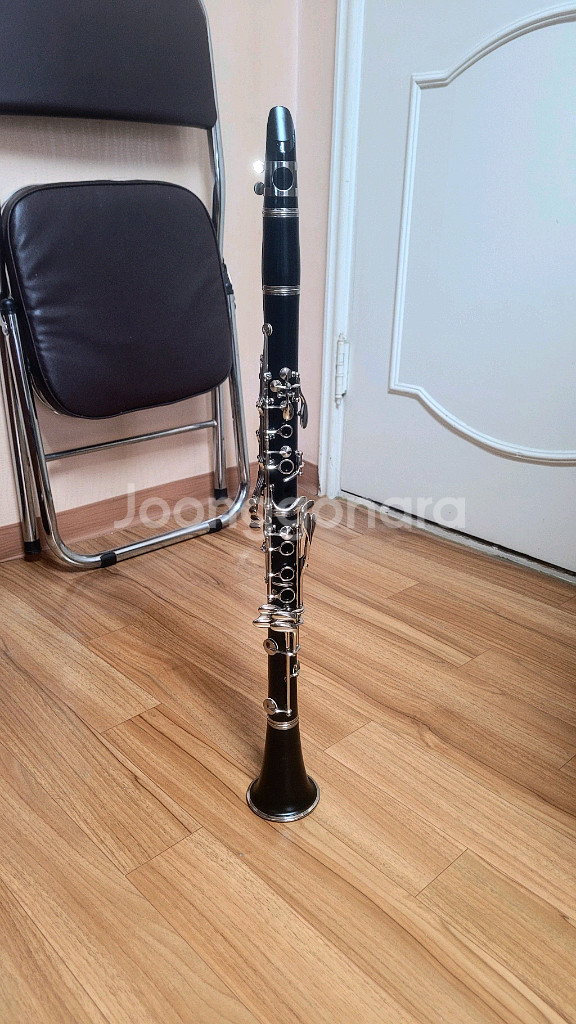 클라리넷 부페 B12 (독일산)--1