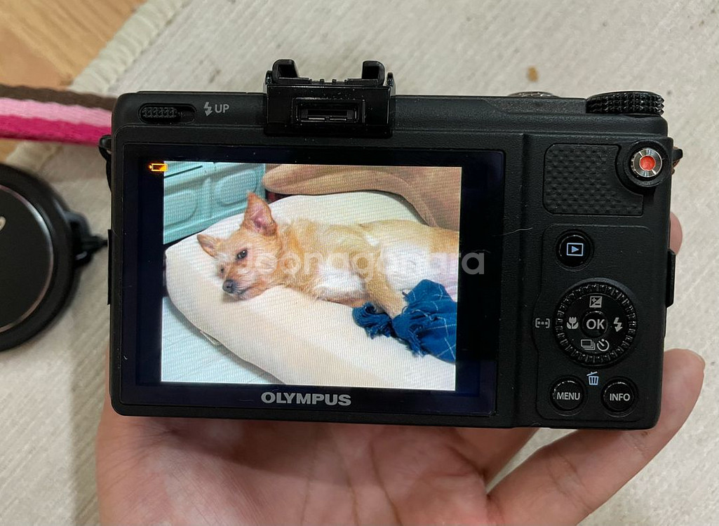 올림푸스 xz-1 olympus--1