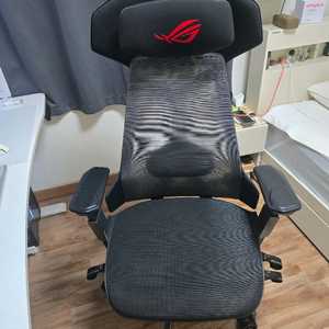 ROG DESTRIER ERGO 게이밍 체어