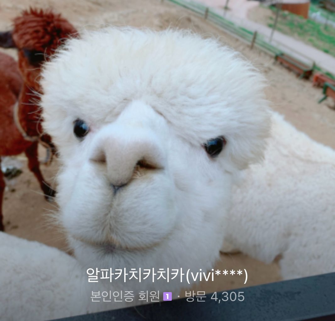 프로필 이미지
