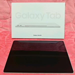 갤럭시탭 S9 플러스, 베이지, 256GB, 와이파이