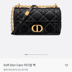 디올 카로백 미디움 블랙 금장 팝니다