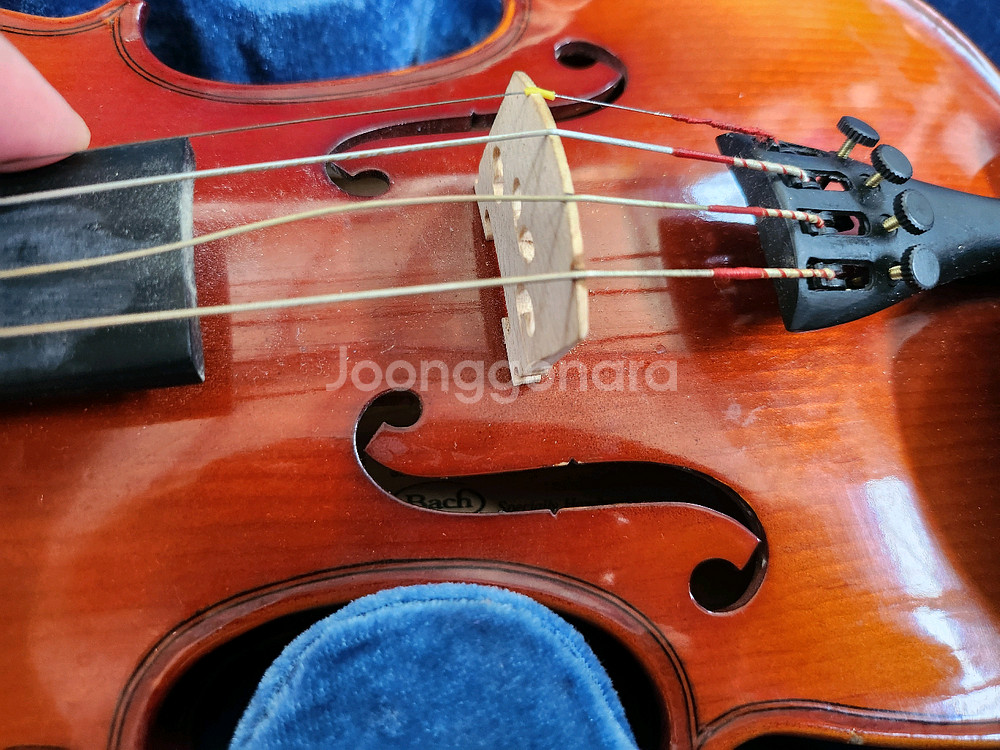 Bach 1/4 바이올린-5만--6