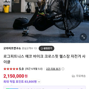 로그 rogue 에코바이크