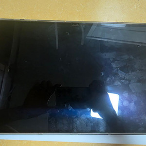 갤럭시 탭 S8울트라 256G, 5G버전