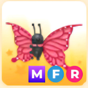 입양하세요 MFR 2021 업리프트 나비