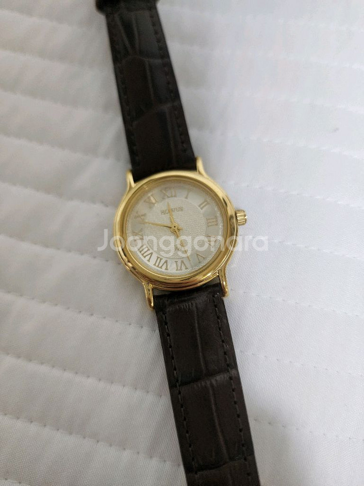 호와스 손목시계 CLASSIC WATCH (BROWN)--1