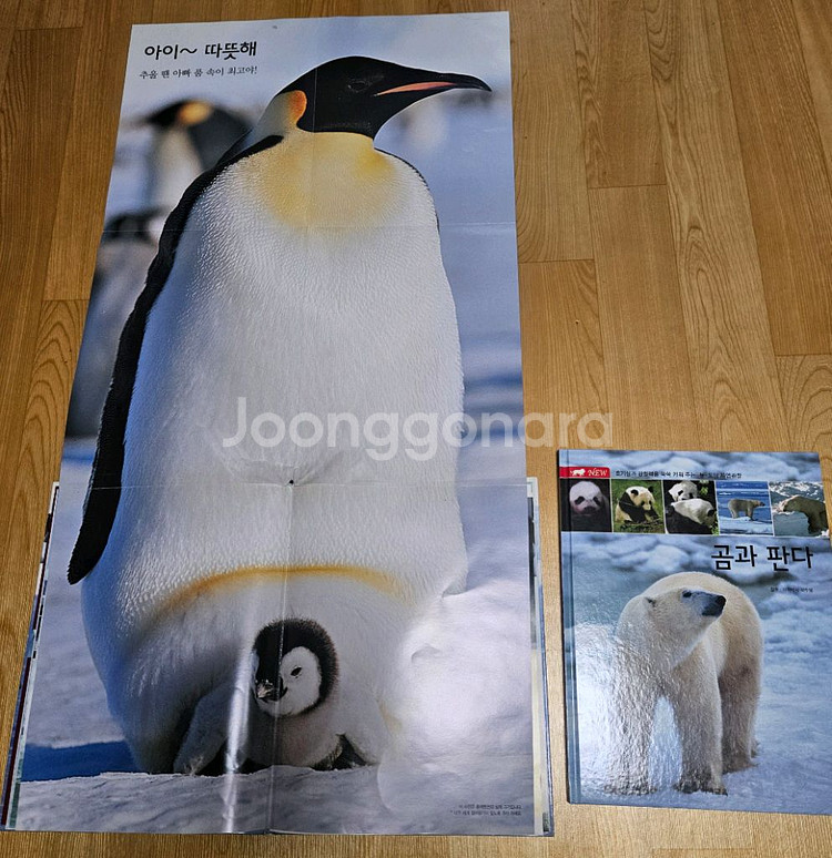 자연관찰,삼국유사,삼국사기,명작,전통동화등 전집 만원씩--1