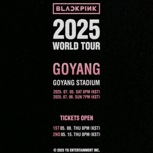 블랙핑크 콘서트 명당 2연석 양도
