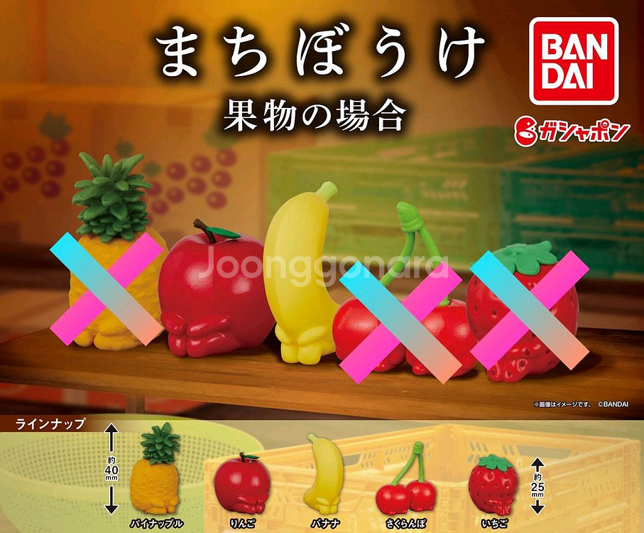 마치보우케 마치보케 언제오려나 과일 1탄 가챠 개별--5