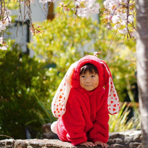 사진에 나와있는 6가지 중 쏨데이 토봉이 5호 구해요