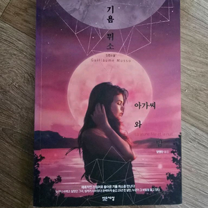 소설 / 아가씨와 밤 / 기욤 뮈소