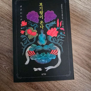 소설 / 보기왕이 온다 / 사와무라 이치
