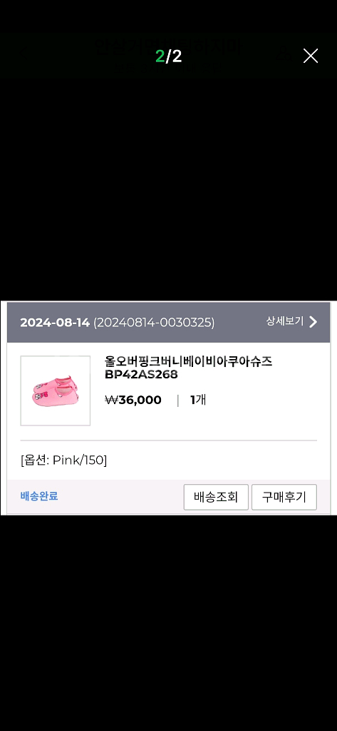 베베드피노 버니수영복100+모자+슈즈150--7