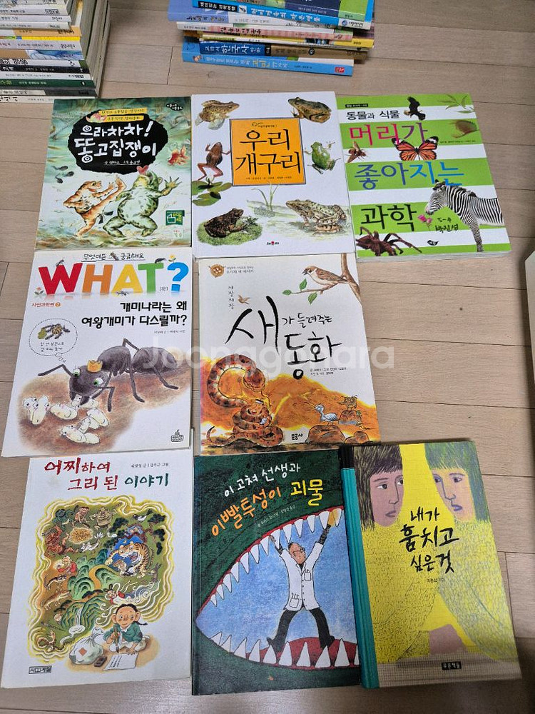 초등 동화책, 권당 1000원, 44권 일괄시 2만원--5