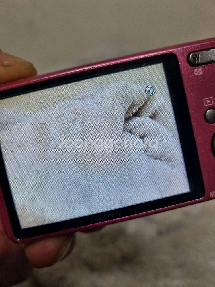 소니 dsc-w570 레트로 디카 빈티지 카메라--6