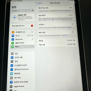 아이패드 10세대 256g 셀룰러 팝니다.