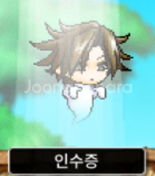 메이플랜드 S급 닉네임 두글자--1