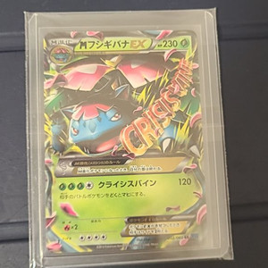 포켓몬 카드Mega Venusaur EX 002/060