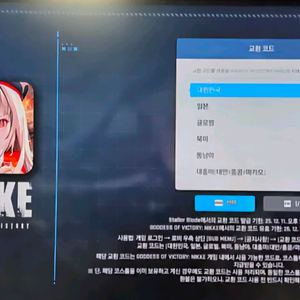 니케 홍련 스킨 코드 팝니다