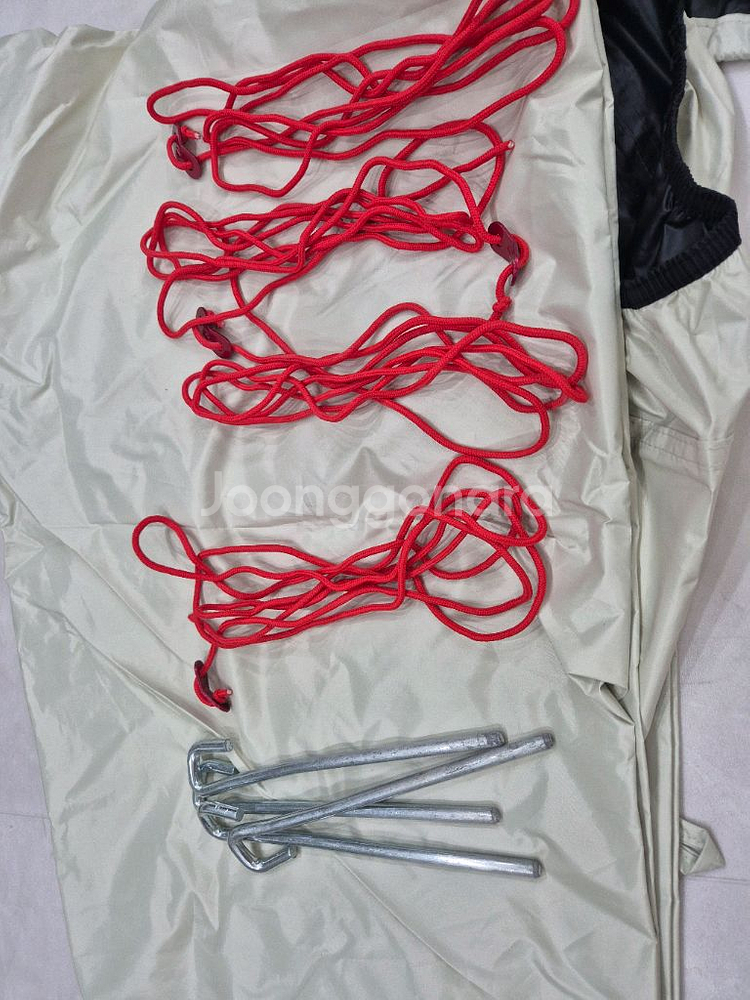 에르젠 익스텐션타프 익타 아이보리--1