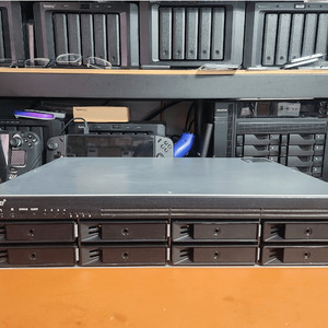 시놀로지RS1221+ HDD 96TB+램 ECC 16G