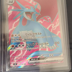 포켓몬 카드 Salamence ex - 119/100