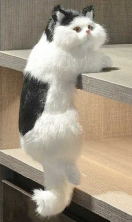 매달린 고양이 인형--0
