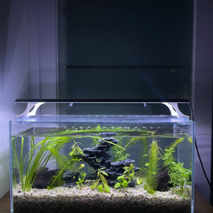 올디아망수족관(45cm) 및 용품 풀세트