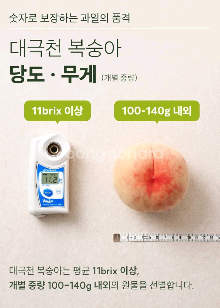 국내산 대극천복숭아--2