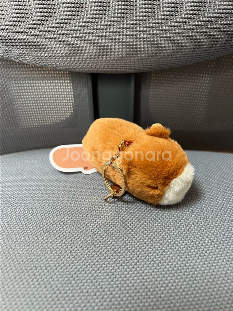 카피바라 키링 팝니당--0