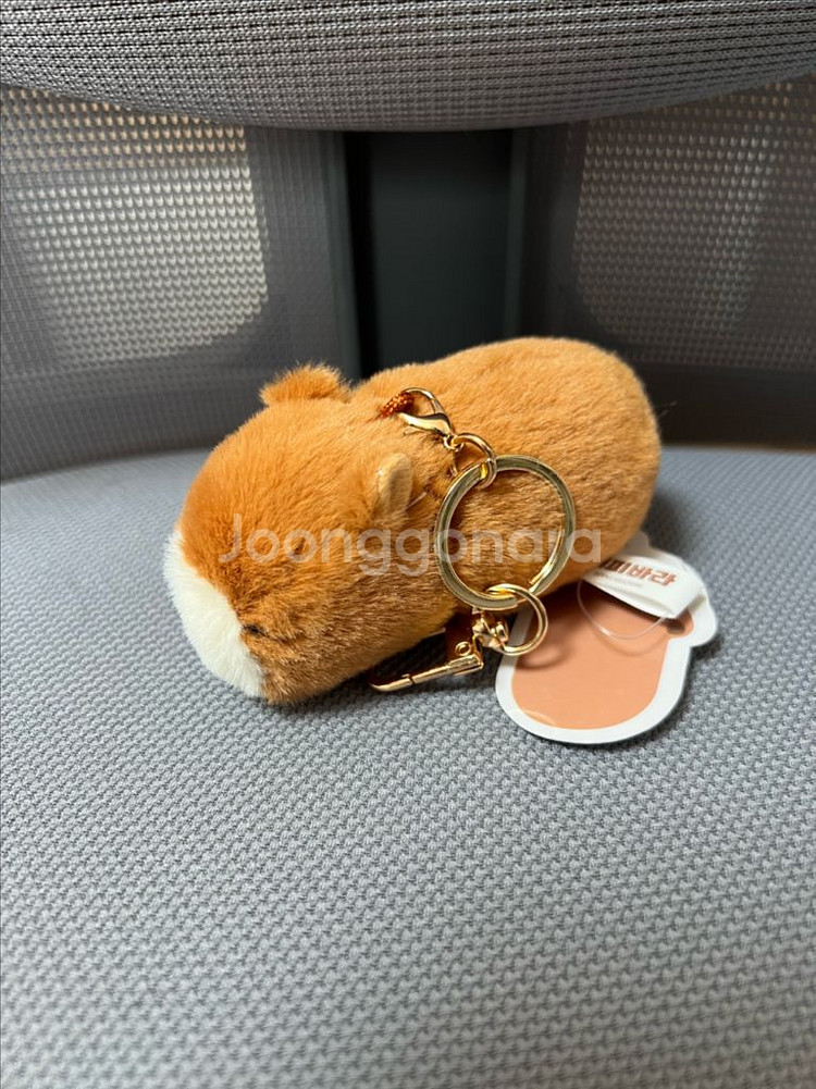 카피바라 키링 팝니당--1