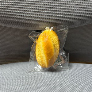 브레도 스퀴시 키링 팝니당