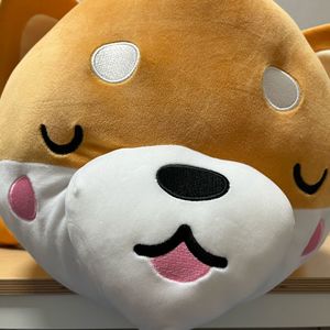 모찌 시바 라잉 인형 70cm