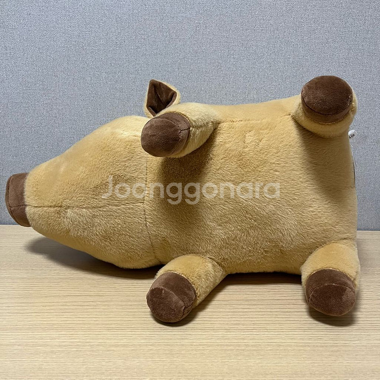 초롱초롱 멧돼지 인형 특대형 50cm--3